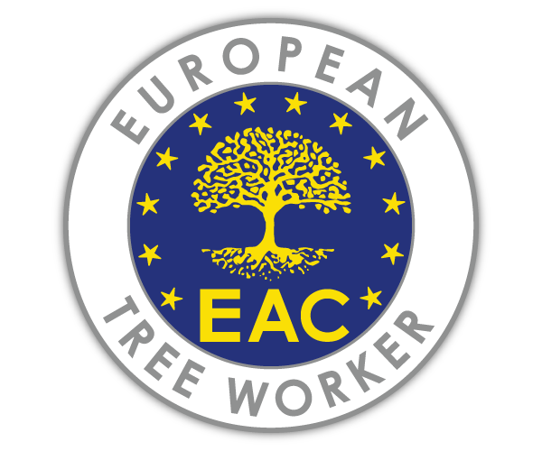 Certifierad Arborist i Sörmland