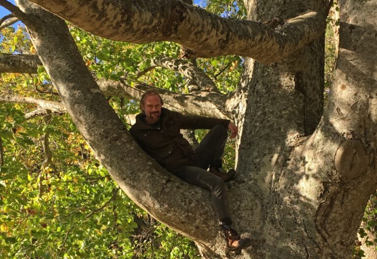 Arborist Birk Källström