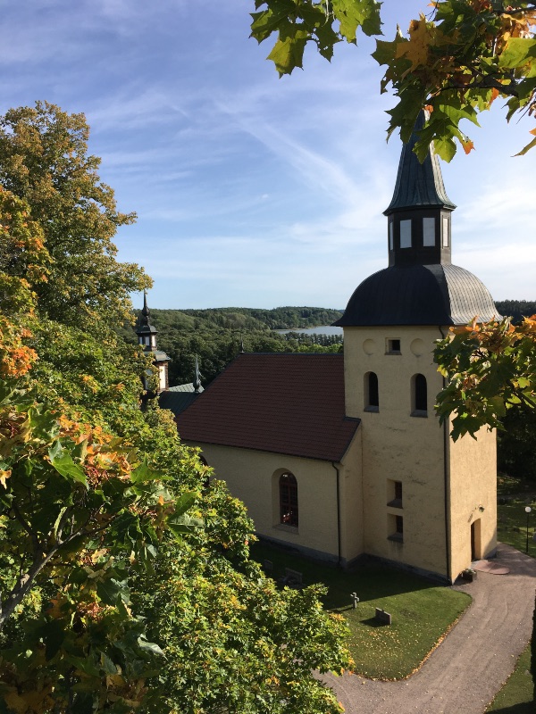 Trädvård i Torshälla