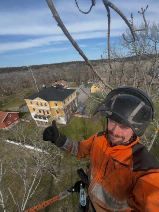 Arbete på höga höjder vid Åda, Trosa.

Trädhöjdaren AB har många återkommande och nöjda kunder – och välkomnar gärna fler.
Vi erbjuder arborist-tjänster i hela östra Sörmland. Kontakta oss för kostnadsfri träd-besiktning och offert. 
Birk - 070 43 54 203
www.trädhöjdaren.se 

#ArboristTrosa #ArboristVagnhärad #TrädfällningTrosa #TrädvårdTrosa 
#ArboristÖstraSörmland ArboristTystberga