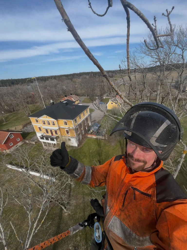 Arbete på höga höjder vid Åda, Trosa.

Trädhöjdaren AB har många återkommande och nöjda kunder – och välkomnar gärna fler.
Vi erbjuder arborist-tjänster i hela östra Sörmland. Kontakta oss för kostnadsfri träd-besiktning och offert. 
Birk - 070 43 54 203
www.trädhöjdaren.se 

#ArboristTrosa #ArboristVagnhärad #TrädfällningTrosa #TrädvårdTrosa 
#ArboristÖstraSörmland ArboristTystberga