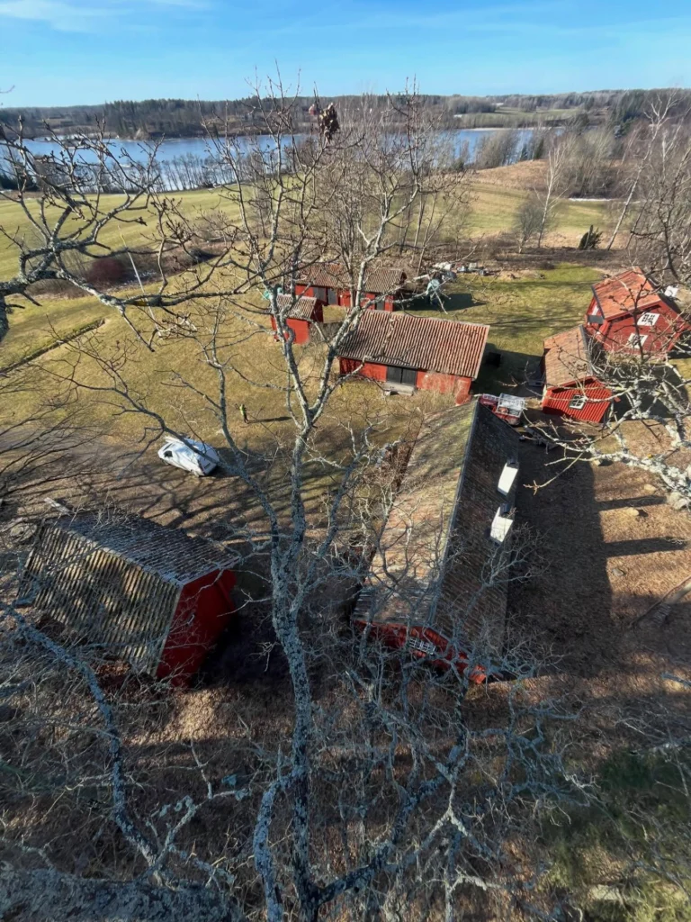 Gryts hembygdsgård vid Stjärnhov i Gnesta kommun är en mycket vacker plats i Sörmland. 🌳♥️
Här fick vi  arborister det ärofyllda uppdraget att gallra ut bland trädbeståndet, där det främst handlade om ekträd som började växa sig för mycket över hustaken på de gamla k-märkta byggnaderna. Vissa ekar plockade vi ned helt genom sektionsfällning medans andra gick att reducera tillräckligt med beskärning.
Ett trevligt jobb där vi fixade hela konceptet från fällning, materialhantering och bortforsling till kratt-ren gräsmatta. 😊
Är ni också i behov av arborist-tjänster kontakta Trädhöjdaren AB, ett lokalt företag som drivits av Birk Källström från Björnlunda, Gnesta i 18 år. 

Tel: 070 43 54 203
Hemsida: https://www.xn—trdhjdaren-r5a2t.se/

#TrädIKulturmiljö #HembygdsgårdarSörmland #ArboristStjärnhov #ArboristBjörnlunda #ArboristGnesta TrädfällningGnesta